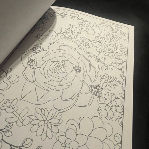 Contemporary Coloring Succulents ( coloring book )New - Picture 8 of 8